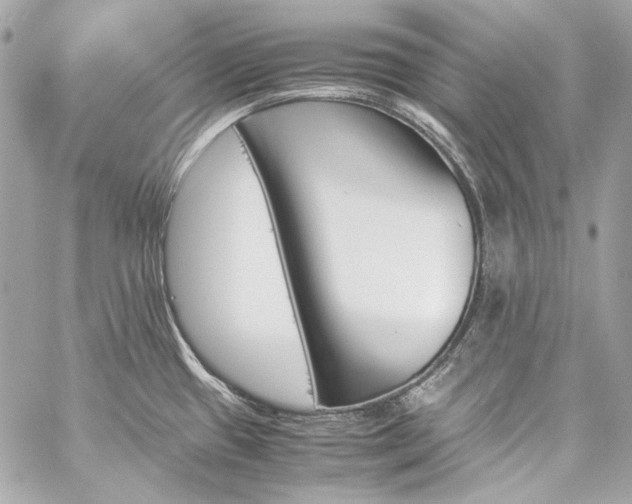 X0000060251433200510281133