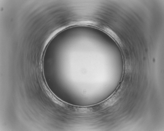 X0000060251436200510281133
