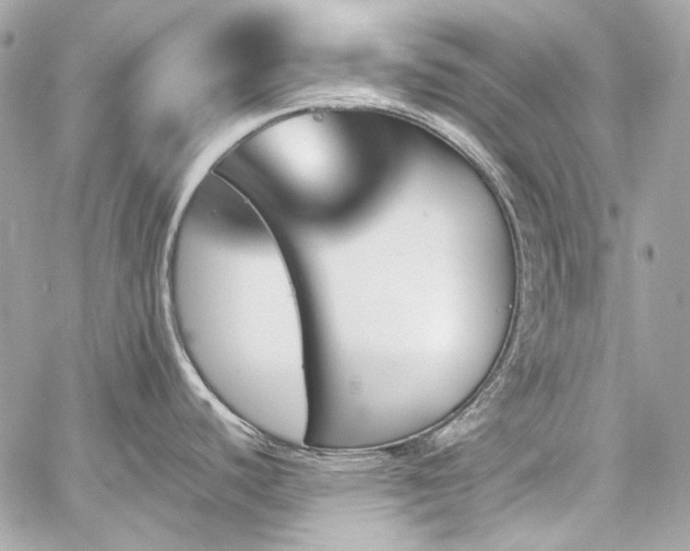 X0000060251440200510281133