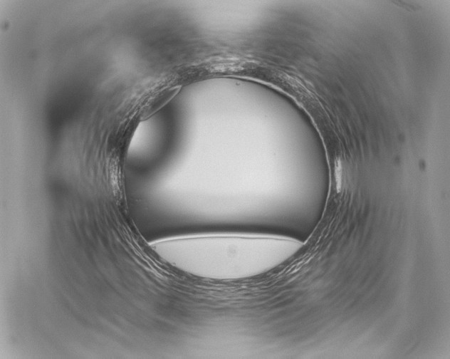 X0000060251444200510281132