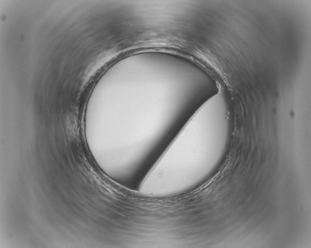 X0000060251452200510281132