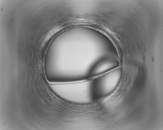 X0000060251453200510281132