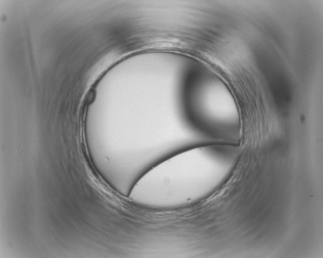 X0000060251467200510281132