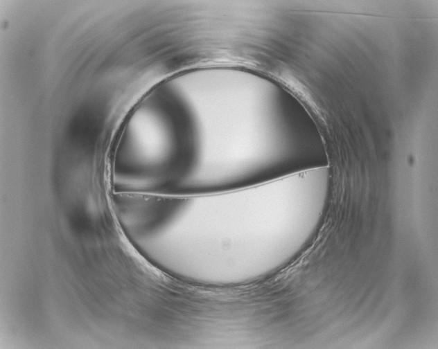 X0000060251476200510281132