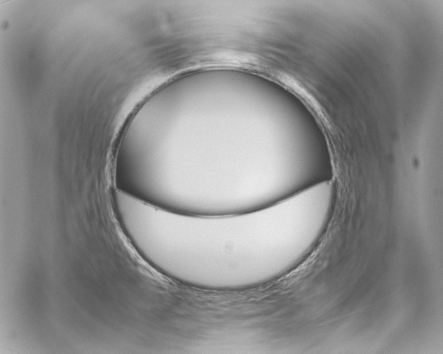 X0000060251477200510281132