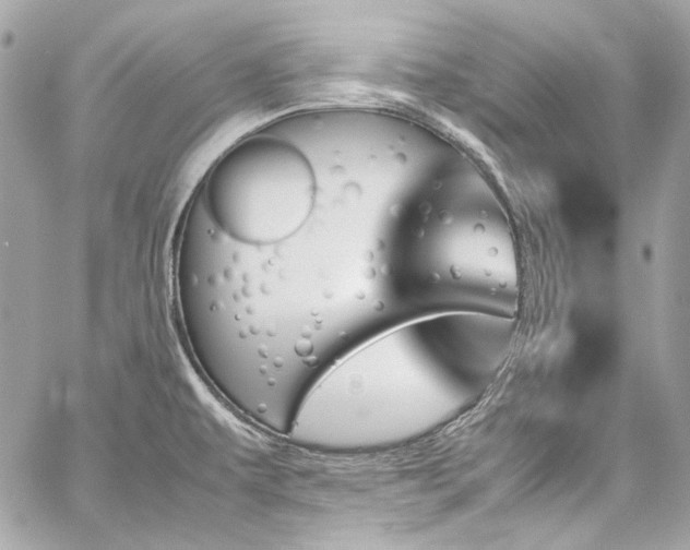 X0000060251479200510281132