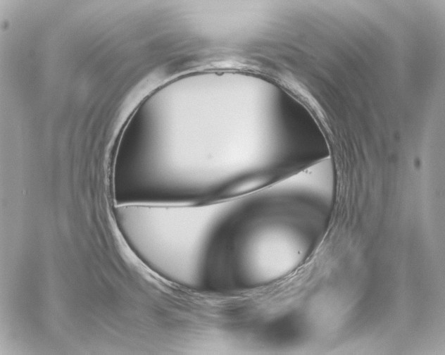X0000060251483200510281132