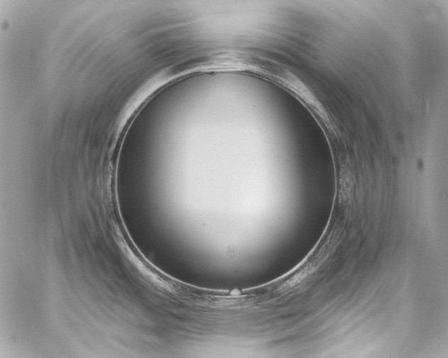 X0000060251484200510281132