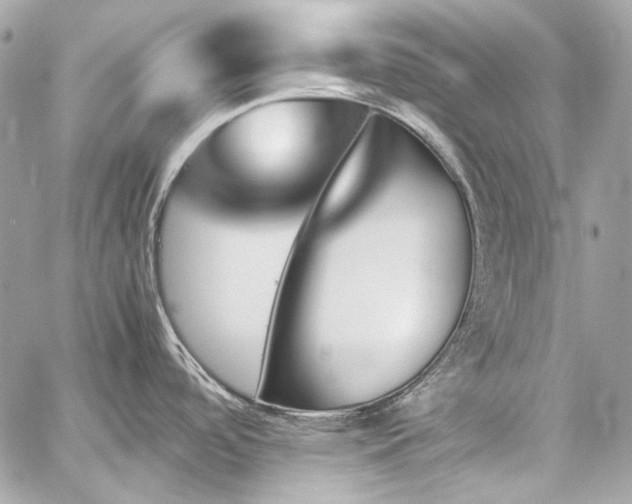 X0000060251488200510281132