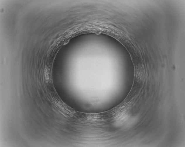 X0000060251490200510281131