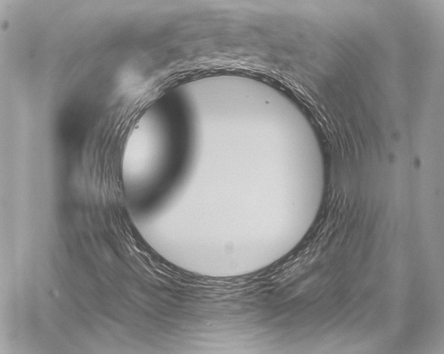 X0000060251492200510281131