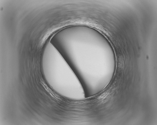 X0000060251499200510281131