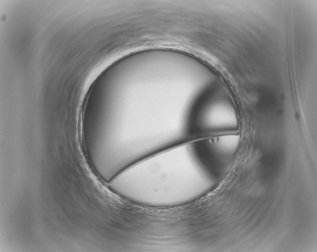 X0000060251520200510281131