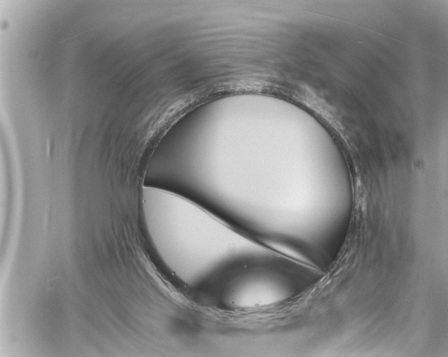 X0000060250013200510311600