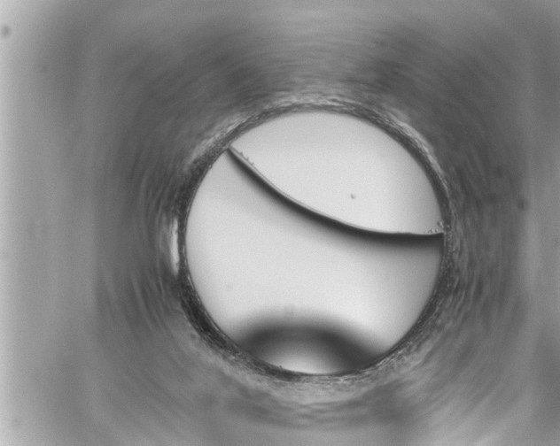 X0000060250020200510311559