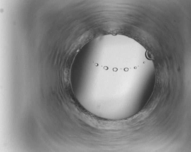 X0000060250044200510311559