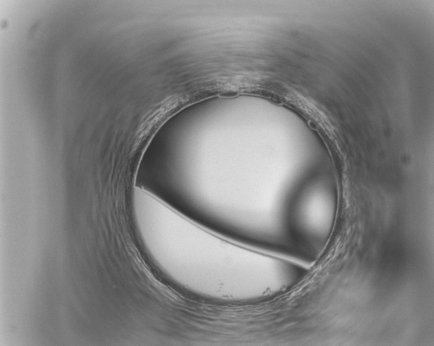 X0000060250105200510311558