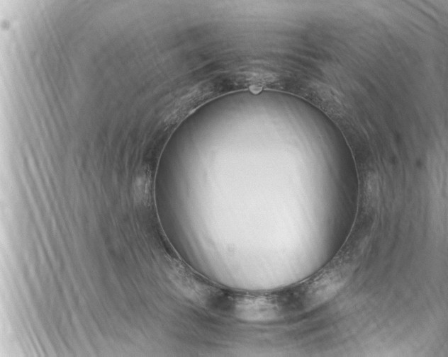 X0000060250177200510311557