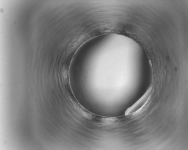 X0000060250192200510311557
