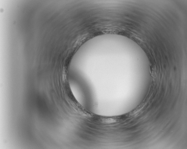 X0000060250287200510311556