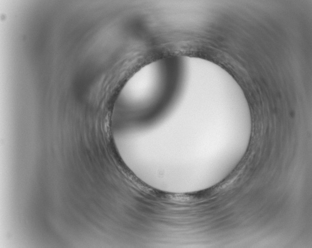 X0000060250336200510311554