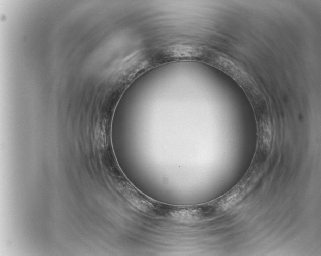 X0000060250422200510311553