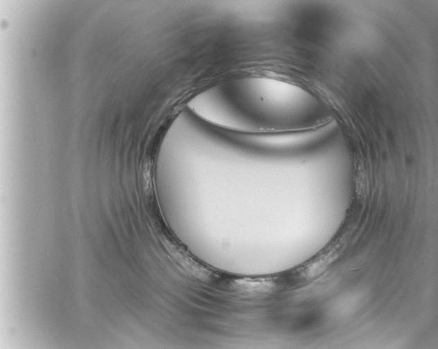 X0000060250477200510311552