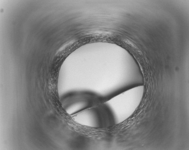 X0000060250869200510311545