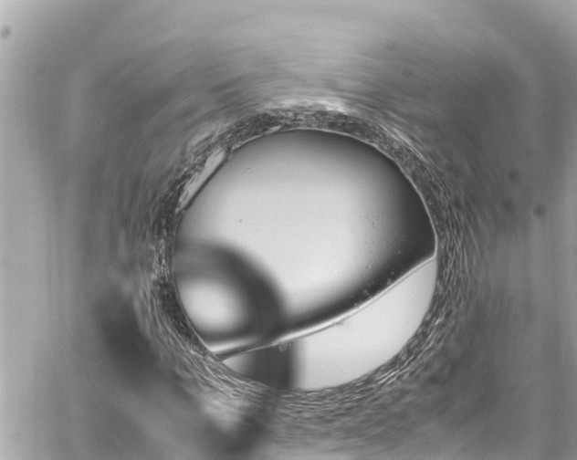 X0000060250965200510311544
