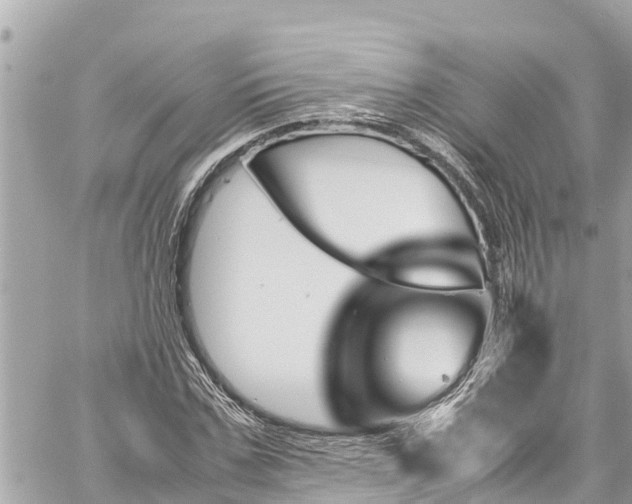 X0000060250971200510311544