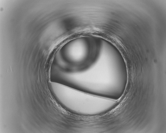 X0000060251018200510311542