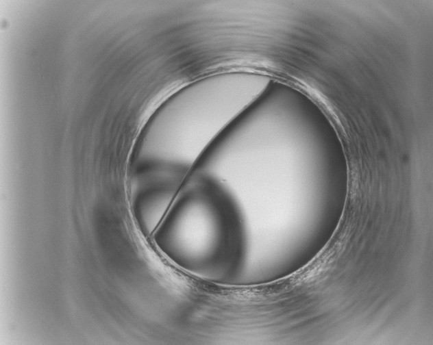 X0000060251042200510311543