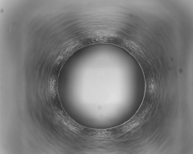 X0000060251060200510311542