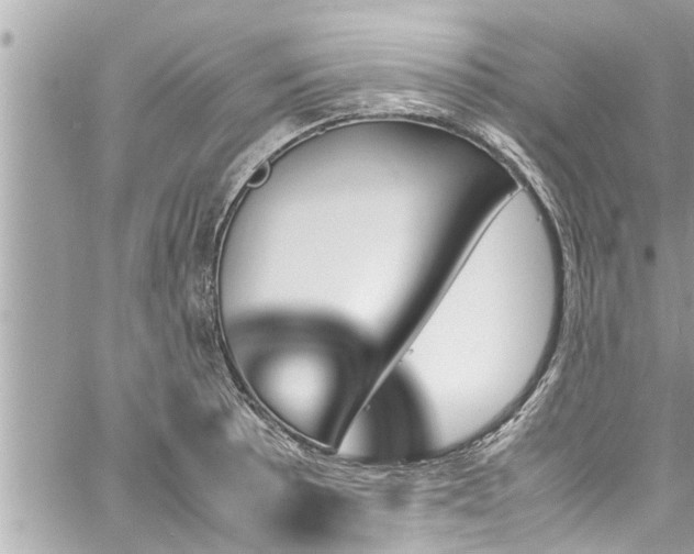 X0000060251089200510311542