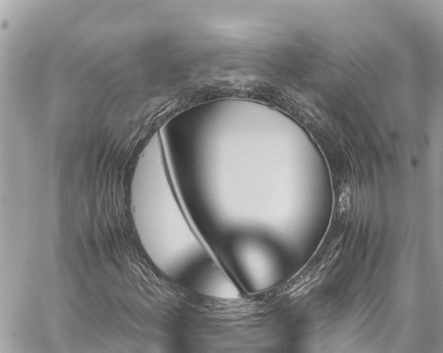 X0000060251156200510311540
