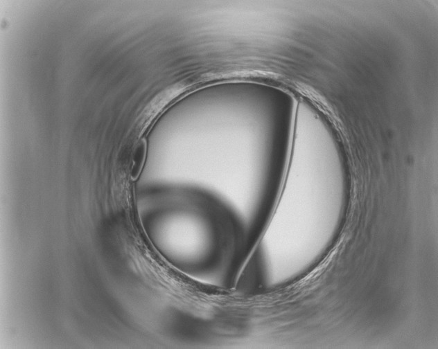 X0000060251177200510311540