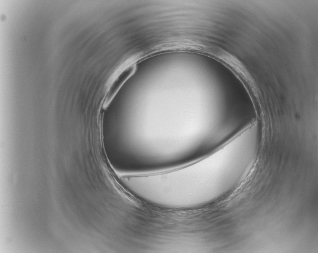 X0000060251242200510311540