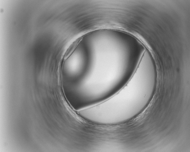 X0000060251246200510311540
