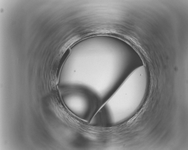 X0000060251273200510311538