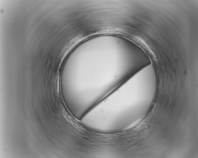 X0000060251276200510311538