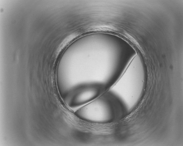 X0000060251277200510311538