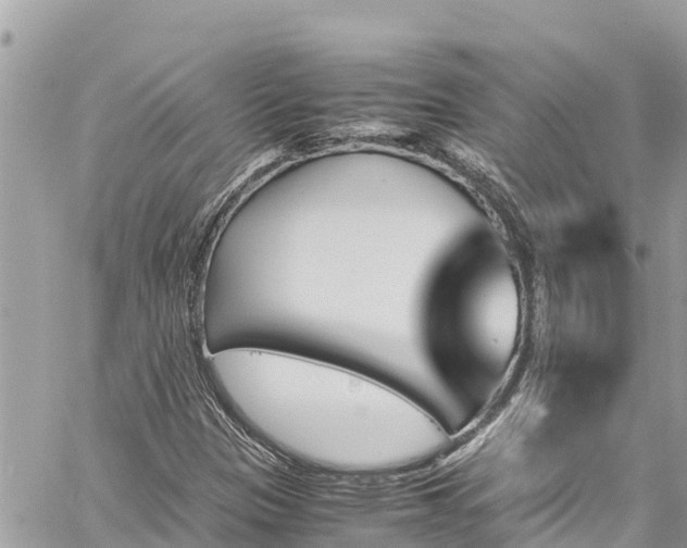 X0000060251305200510311537