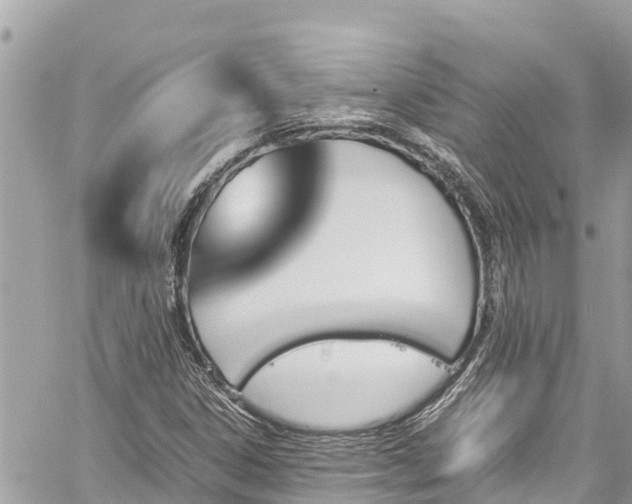 X0000060251306200510311537