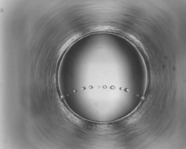 X0000060251330200510311538
