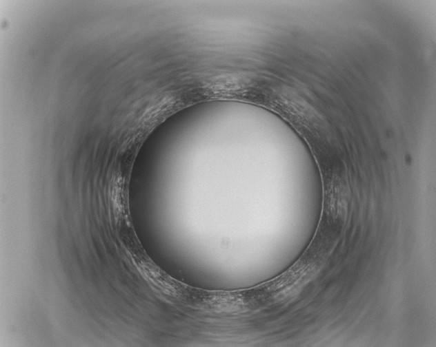 X0000060251346200510311537