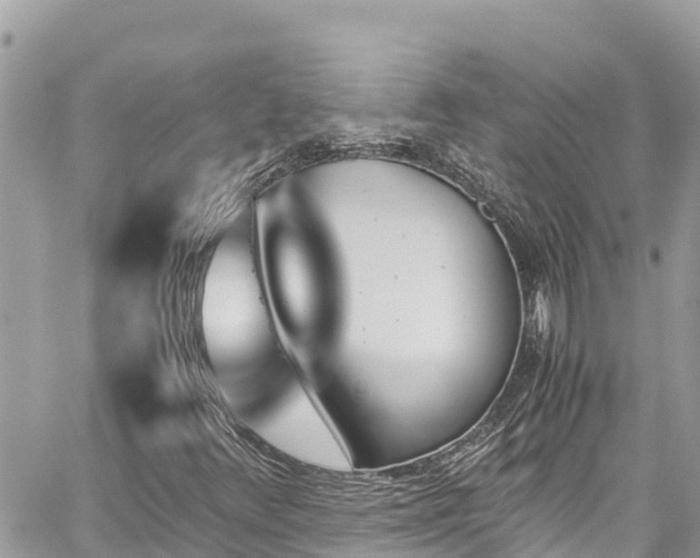 X0000060251348200510311537