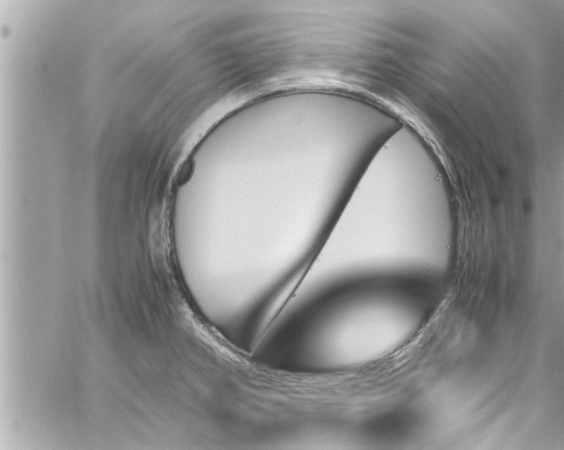 X0000060251382200510311537