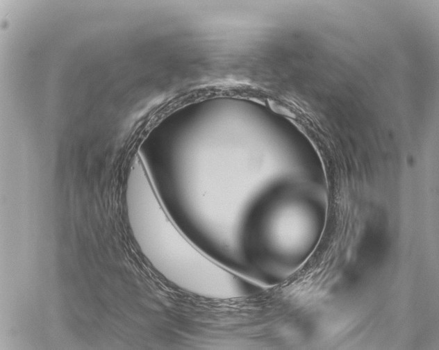 X0000060251398200510311536