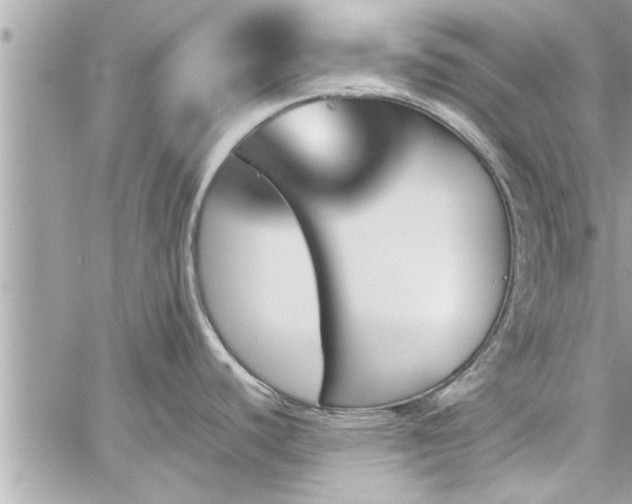 X0000060251440200510311536