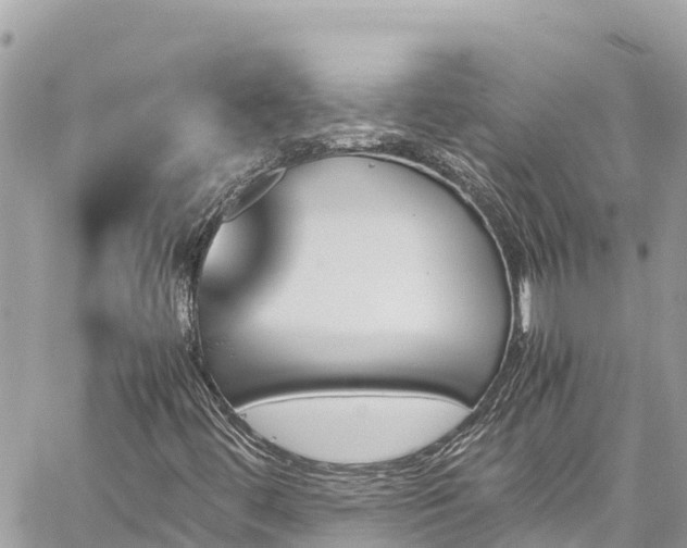 X0000060251444200510311536